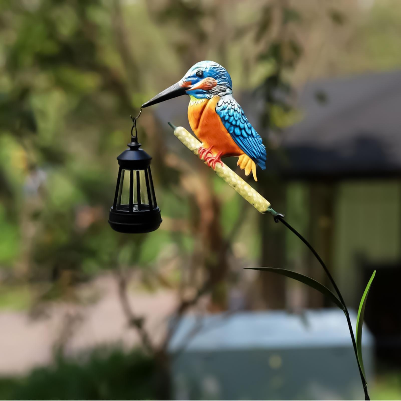 Solarbetriebene Eisvogel-Licht – Outdoor Lighting Driveway Bewertung und Preis