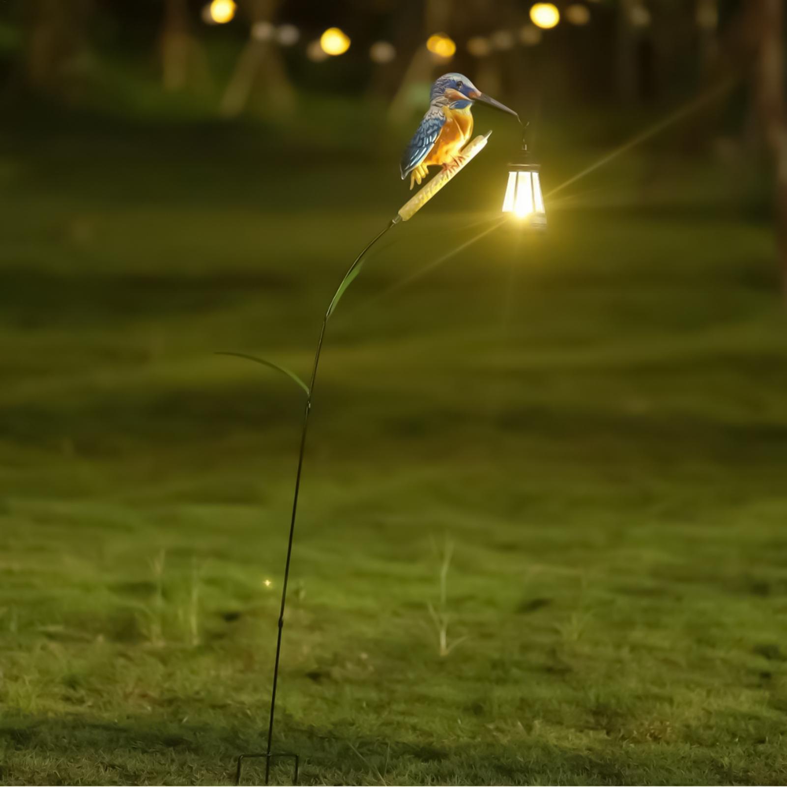 Solarbetriebene Eisvogel-Licht – Outdoor Lighting Driveway Bewertung und Preis